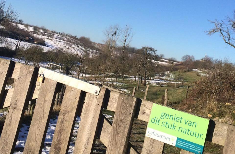 Gastenverblijf Chambre Damis - Geniet Van Haspengouw, Buiten En Binnen! Heers Exteriör bild