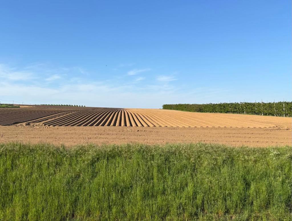 Gastenverblijf Chambre Damis - Geniet Van Haspengouw, Buiten En Binnen! Heers Exteriör bild