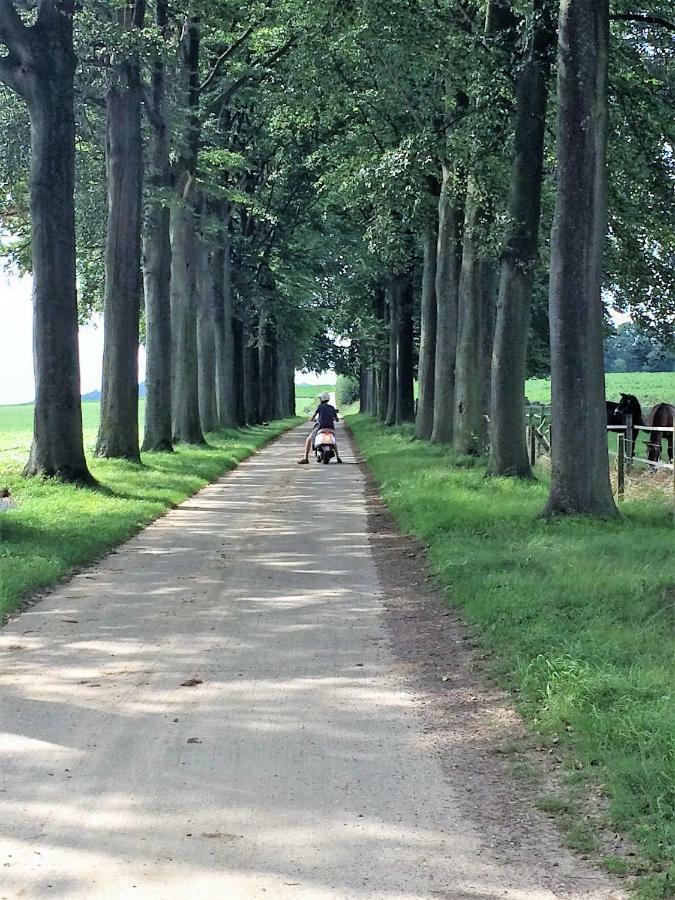 Gastenverblijf Chambre Damis - Geniet Van Haspengouw, Buiten En Binnen! Heers Exteriör bild